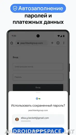 Google Chrome скриншот 6